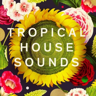 Tuyển Tập Nhạc Tropical House 