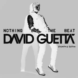 Nothing but the beat (Collectors Edition) 