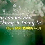 Album CD Vol 31 Đan Trường “Nhìn Vào Nỗi Nhớ - Chàng Ốc Tương Tư”   - Đan Trường