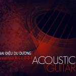 Giai Điệu Du Dương (Acoustic Guitar) - Dũng Đà Lạt