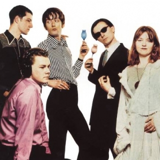 Pulp