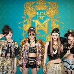 Công ty quản lý hướng đến mục đích gì với nhóm nhỏ của T-ara?