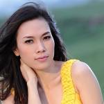 Mỹ Tâm và 4 lần gây thanh thế nước ngoài