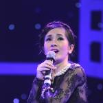 Hồng Nhung tái xuất sau khi sinh con