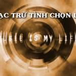 Bản tin âm nhạc cuối tuần: Nhạc vàng – những cảm xúc mới