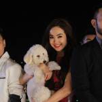 Minh Hằng đưa cún yêu đi quay MV cùng dàn sao Việt