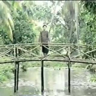 Cây cầu dừa