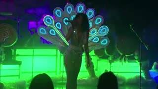 Peacock (Live on Letterman)